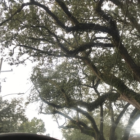 Meet your Posher, Roxanne - Picture 1 of 1